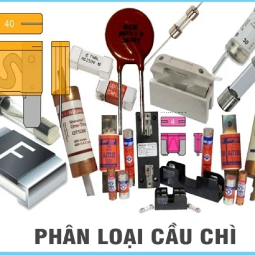 phan-loai-cau-chi